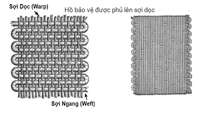 Sợi dọc trong hồ sợi